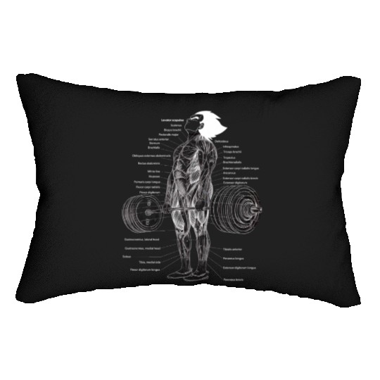 Anime Muscle Anatomy Ch Gym And Workout Motivation Lumbar Pillows