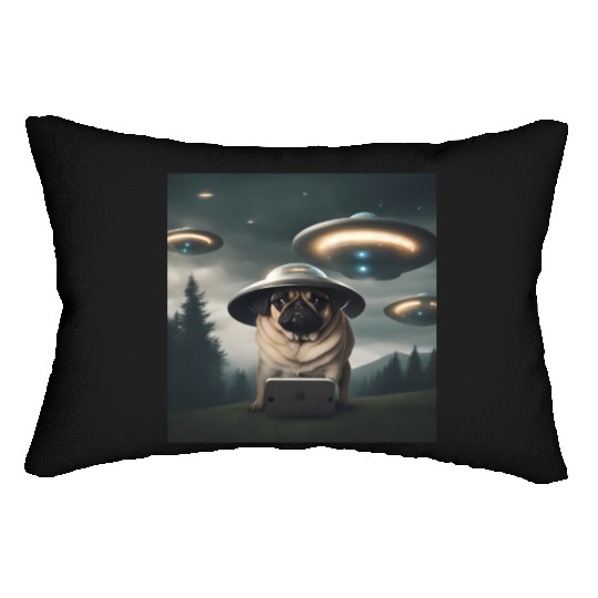 Area 51 Lumbar Pillows