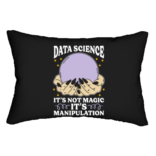 Data Mining Data Science It's Not Magic Programmer Lumbar Pillows