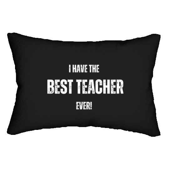 I HAVE THE BEST TEACHER EVER FUNNY DESIGN Lumbar Pillows
