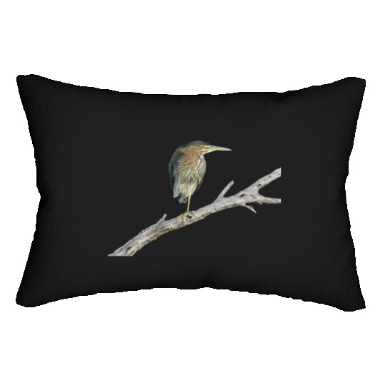 Green Heron Lumbar Pillows