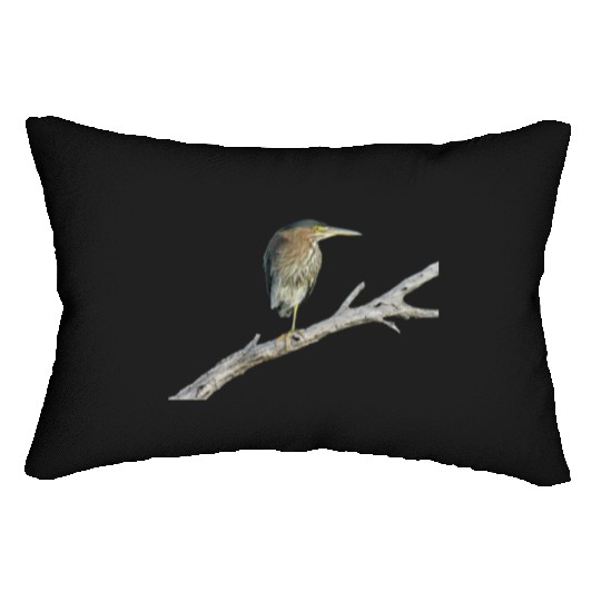 Green Heron Lumbar Pillows