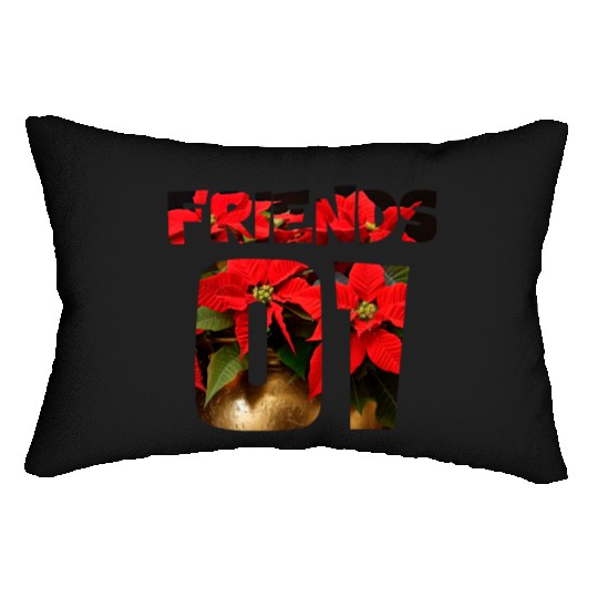 best friends for 3 - FRIENDS Lumbar Pillows