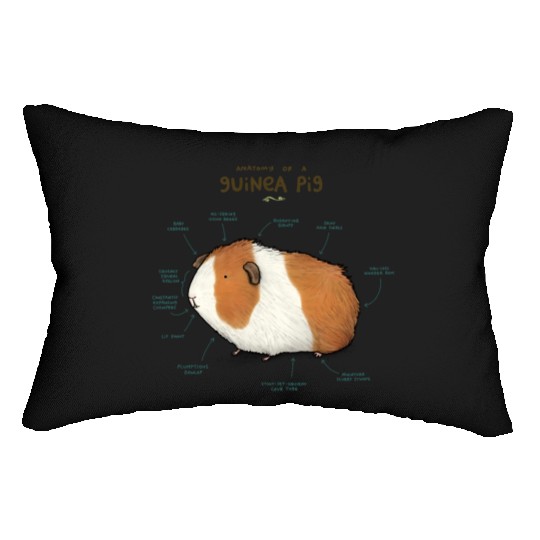 Anatomy of a Guinea Pig Lumbar Pillows