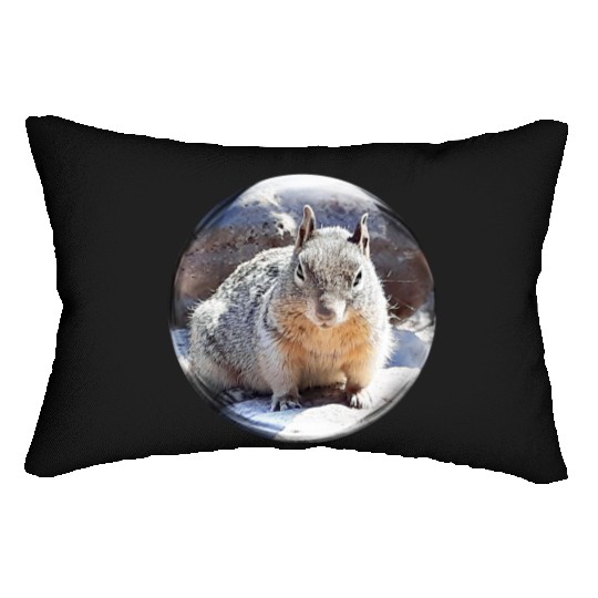 Life In a Bubble Collection- Grand Canyon Squirrel Lumbar Pillows