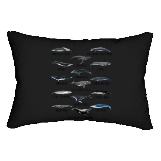 Different Whale Species Biology Types Of Whales Lumbar Pillows