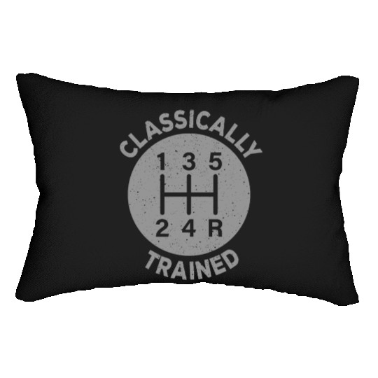 Vintage Classically Trained-Stick Shift Lumbar Pillows