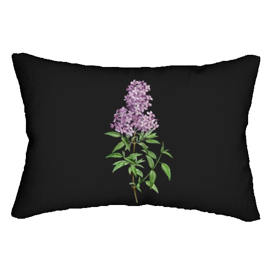 Lavender Bloom Botanical Illustration Lumbar Pillows