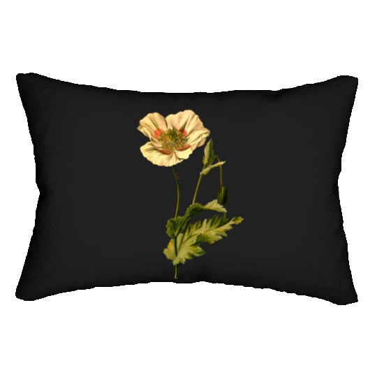 Opium poppy (detailed) Lumbar Pillows
