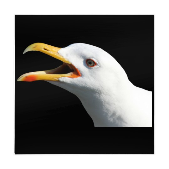 seagull gull moewe1 Mahjong Mats