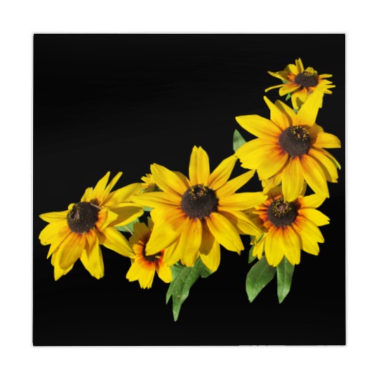 flowers lilies tulips orchids sunflower dahlia ger Mahjong Mats