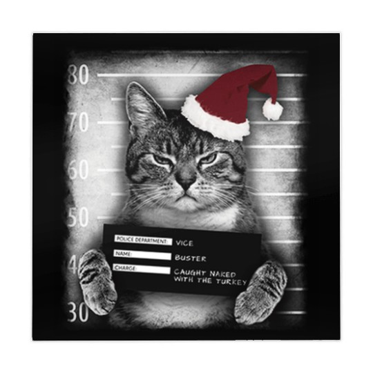 Cat Christmas Thief Mahjong Mats
