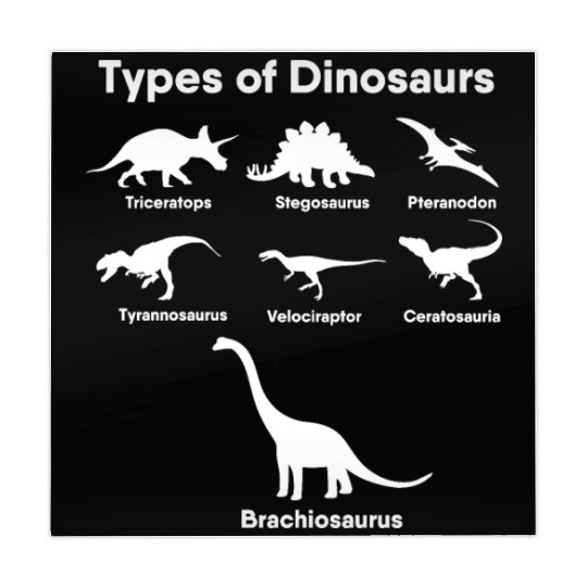Types of Dinosaurs T-Rex Veloceraptor, Triceratops Mahjong Mats