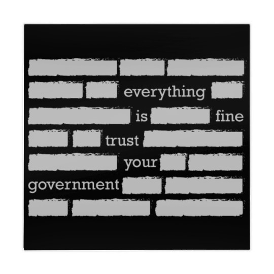 conspiracy theory trust your government funny gift Mahjong Mats