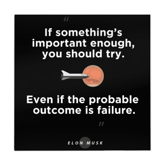 Quotes from: Elon Musk on Failure Mahjong Mats