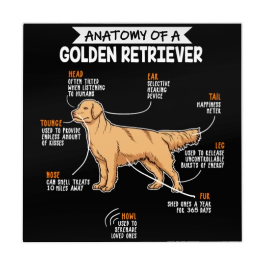 Anatomy Of A Golden Retriever Funny Dog Owner Gift Mahjong Mats