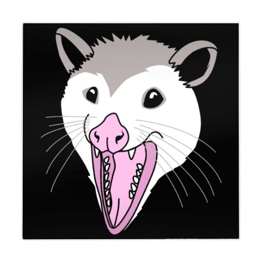 Possum Opossum Face Mahjong Mats