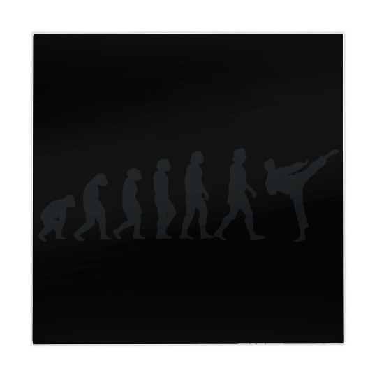 Evolution of Karate Mahjong Mats