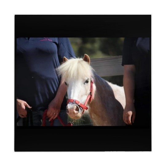 Screenshot 20220619 180220 Facebook Mahjong Mats