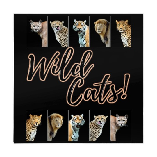 WILDCATS! | Lion, Leopard, Cheetah, Puma, Tiger Mahjong Mats