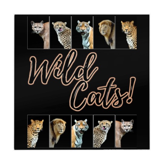 WILDCATS! | Lion, Leopard, Cheetah, Puma, Tiger Mahjong Mats