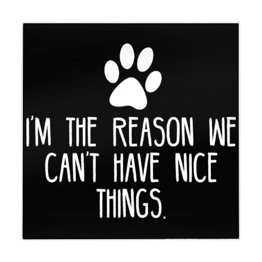 I m The Reason We Can t Have Nice Things Mahjong Mats