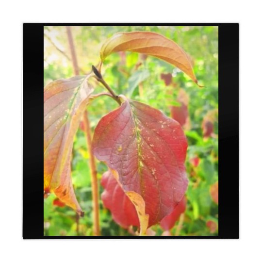 Autumn is coming flowers green orange yellow Great Mahjong Mats