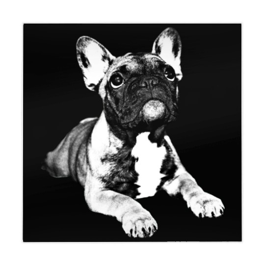 french bulldog puppy Mahjong Mats
