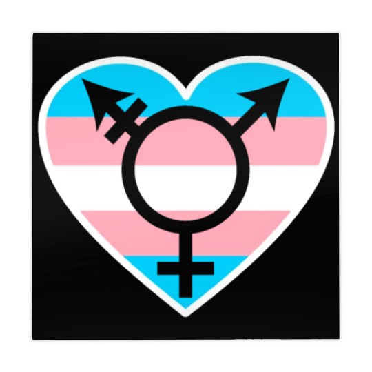 Trans Rainbow Pride LGBTQ Transgender Rights Mahjong Mats