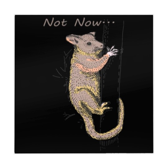 Funny Opossum, Opossum Not Now Mahjong Mats