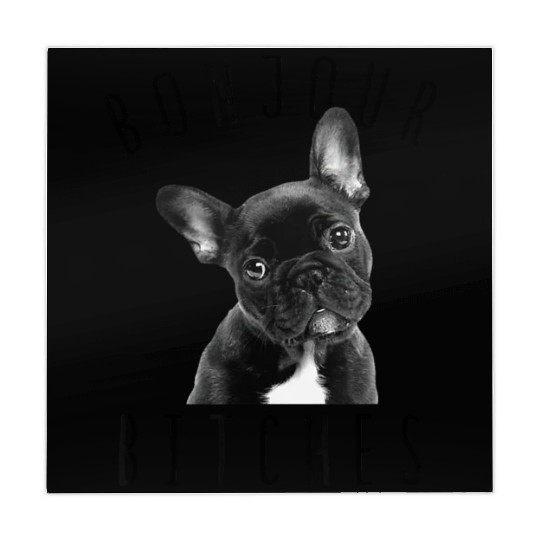 Bonjour Bitches Funny French Bulldog Dog Lover Mahjong Mats