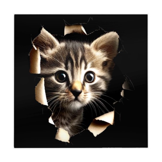 Cat Art Design Cute Cat Mom Meow Paws I Love Cats Mahjong Mats