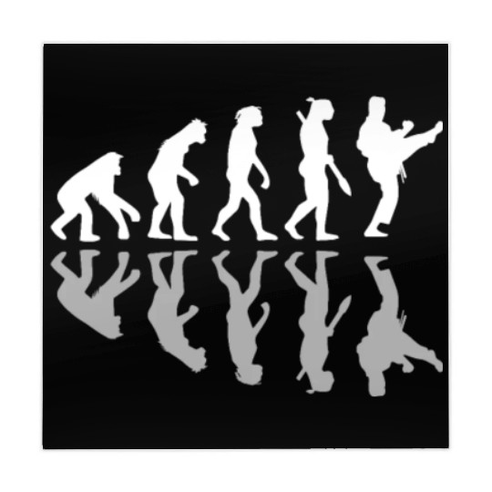 Human Evolution Karate Martial Arts Lover MMA Mahjong Mats