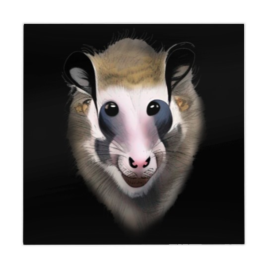 Opossum Mahjong Mats