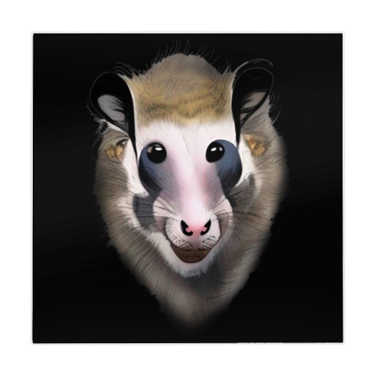 Opossum Mahjong Mats