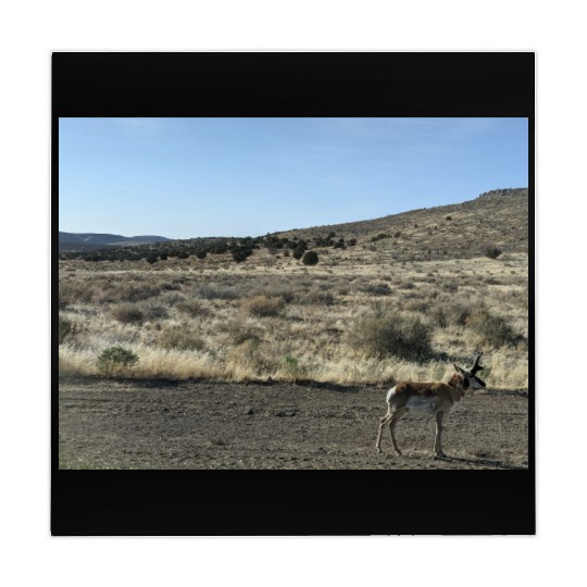 Antelope near Grand Canyon West Mahjong Mats