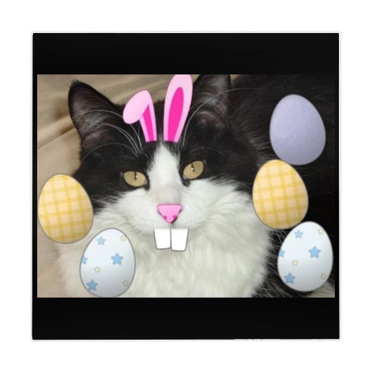 Easter Bunny Cat Face Decor Mahjong Mats
