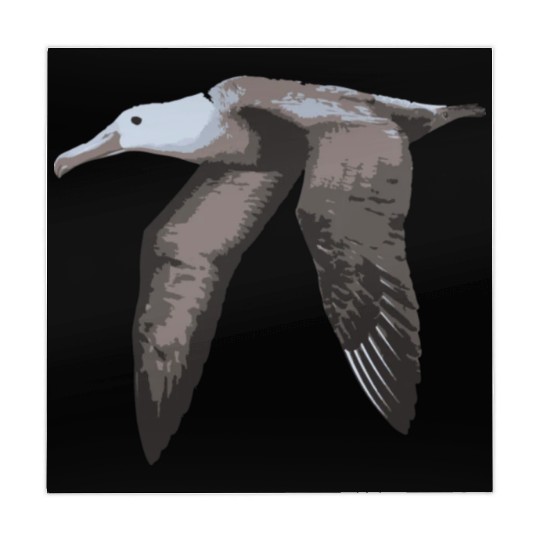 Albatross Bird Illustration Mahjong Mats