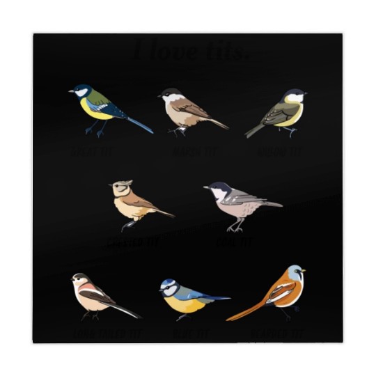 I Love Tits Birdwatching Bird Lover Mahjong Mats