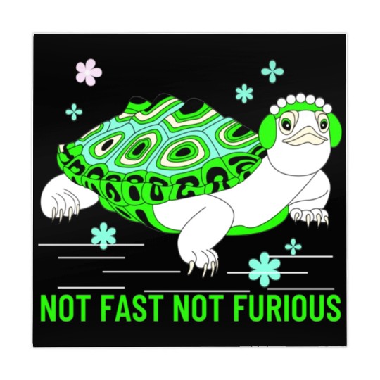 Not Fast Not Furious Funny turtle lover Mahjong Mats