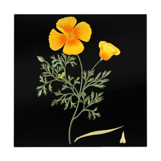 Californian Poppy Botaal Illustration Flower Mahjong Mats