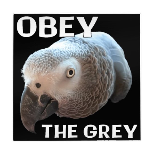 Obey The Grey - African Grey Parrot Mahjong Mats