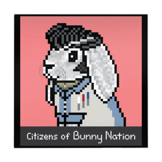Citizens of Bunny Nation NFT #82 Artwork Mahjong Mats