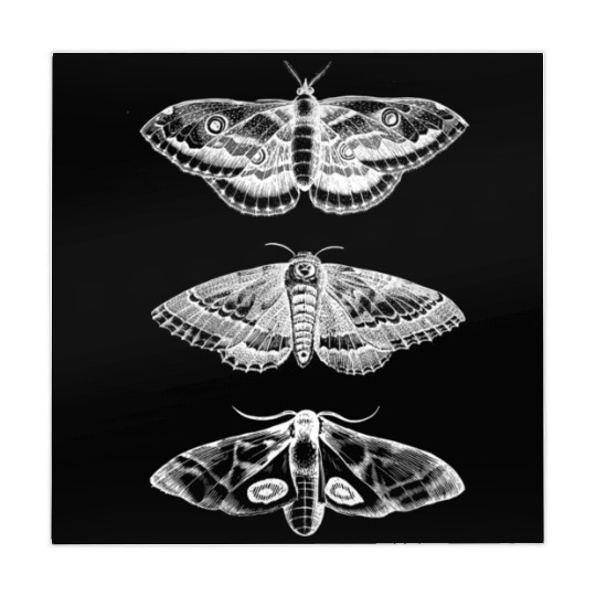 Moth Animal Insect Bug Scientific Illustration Mahjong Mats