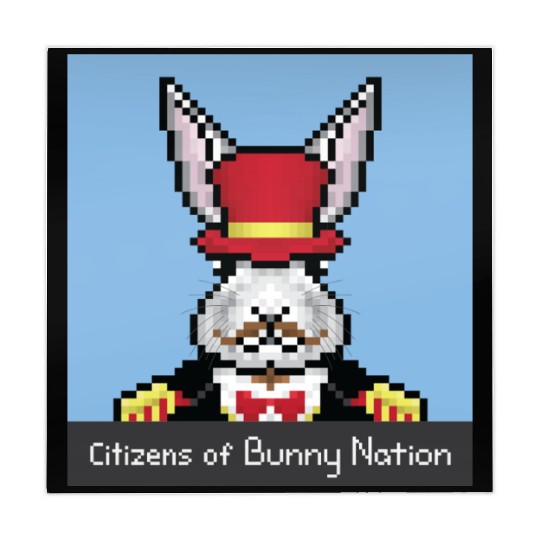 Citizens of Bunny Nation NFT #34 Artwork Mahjong Mats