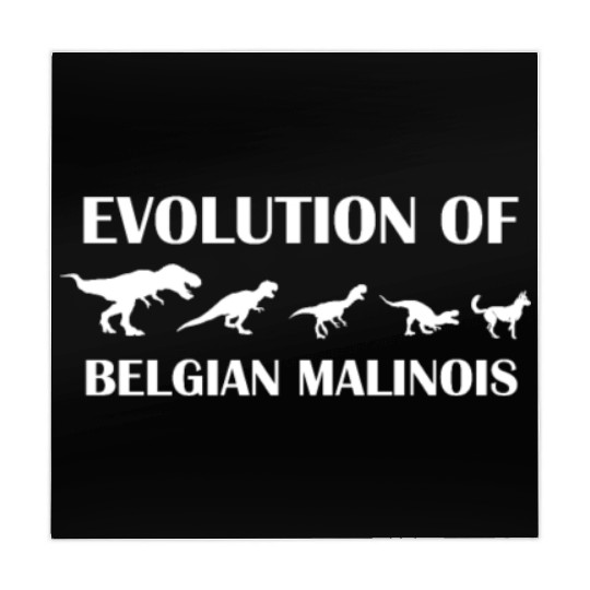 Evolution of Belgian Malinois Mahjong Mats