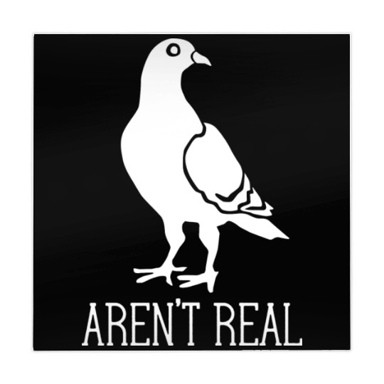 Birds Aren t Real Conspiracy Pigeon Retro Mahjong Mats