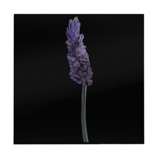 Lavender Flower Illustration Mahjong Mats