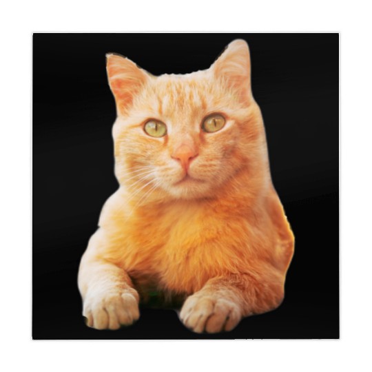 Orange Cat Mahjong Mats