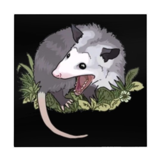 Screaming possum, Funny Animal Mahjong Mats